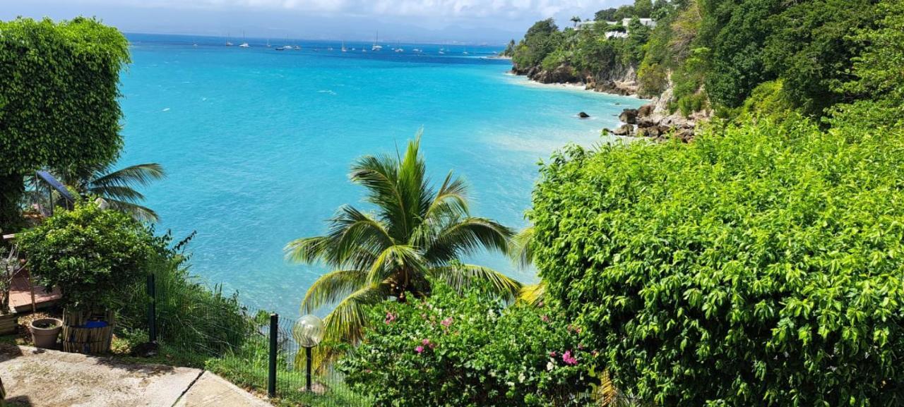 Vue Mer, Piscine, Appartement 4 Personnes Le Gosier  Kültér fotó